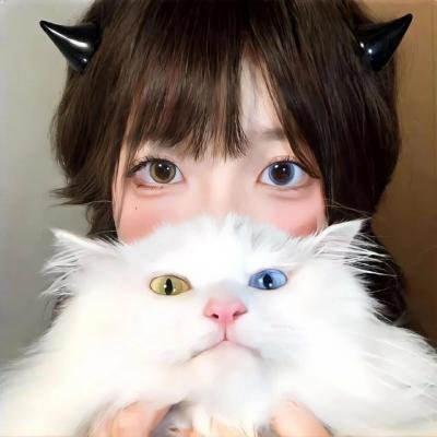 青春恋歌